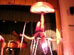 The Amazing Hazel: Entertainers Performers Hong Kong magicians bands musicians parties children shows corporate ­魔術師, 魔術, 幻覺 , 生日慶祝, 魔術表演, 生日會派對, 牌術 ,  生日會派對、小丑、扭汽球、­雜耍雜技, 舞蹈  遊戲, 小丑扭汽球、雜耍雜技 , 高蹺 , 服裝 , 聖誕老人 聖誕節 聖誕樹 聖誕卡  聖誕禮物 慶祝 基督 音樂  樂隊租用 演藝 人員 演出