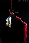 Steffi Aerial: Entertainers Performers Hong Kong magicians bands musicians parties children shows corporate ­魔術師, 魔術, 幻覺 , 生日慶祝, 魔術表演, 生日會派對, 牌術 ,  生日會派對、小丑、扭汽球、­雜耍雜技, 舞蹈  遊戲, 小丑扭汽球、雜耍雜技 , 高蹺 , 服裝 , 聖誕老人 聖誕節 聖誕樹 聖誕卡  聖誕禮物 慶祝 基督 音樂  樂隊租用 演藝 人員 演出