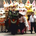 Lions in lion dances come in different colours and have big, bright eyes for good fortune. 
