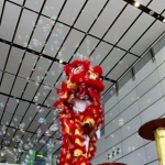 Our red lion dancing in bubbles.