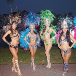 Samba costume multi color costumes