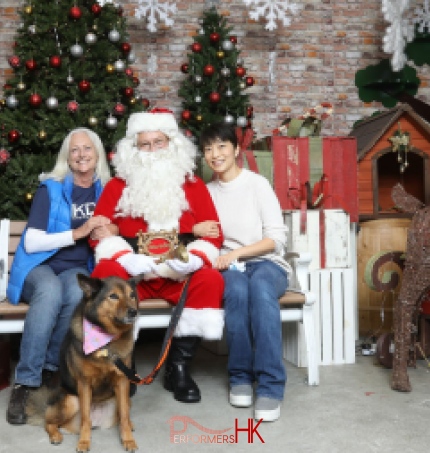 santa and dog in hong kong
