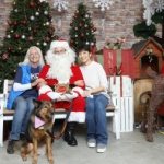 Hong Kong dog rescue with wiskers and paws in Hong Kong photo with santa day,