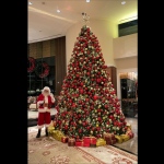 Santa Martin at Conrad, Admiralty for his Christmas eve performance